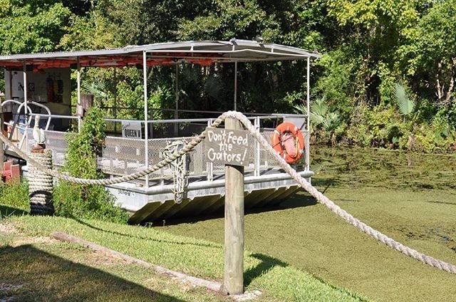 Jean lafitte swamp deals tour groupon