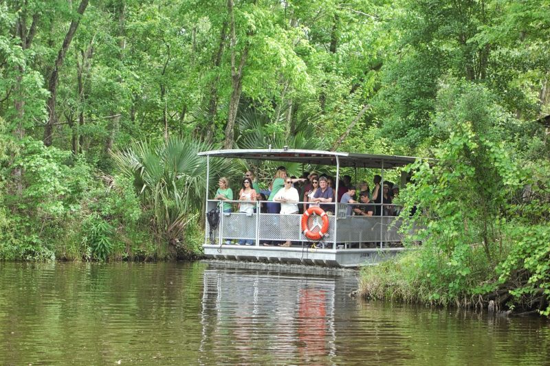 Jean Lafitte Swamp Tour