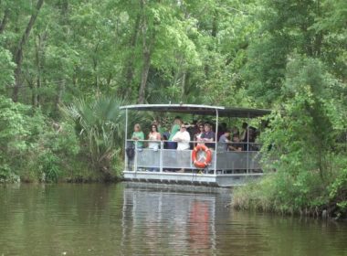 Jean Lafitte Swamp Tour