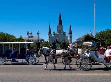 New Orleans City MiniBus Tour