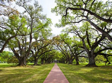 Oak Alley Plantation Tour