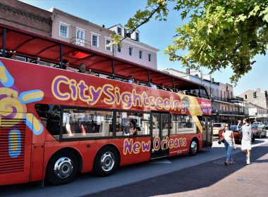 Hop-On Hop-Off City Sightseeing Tour