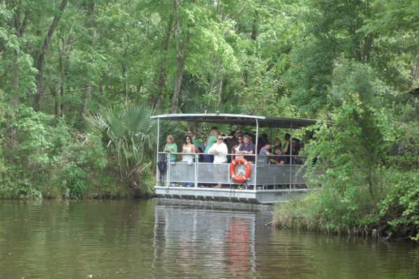 Jean Lafitte Swamp Tour