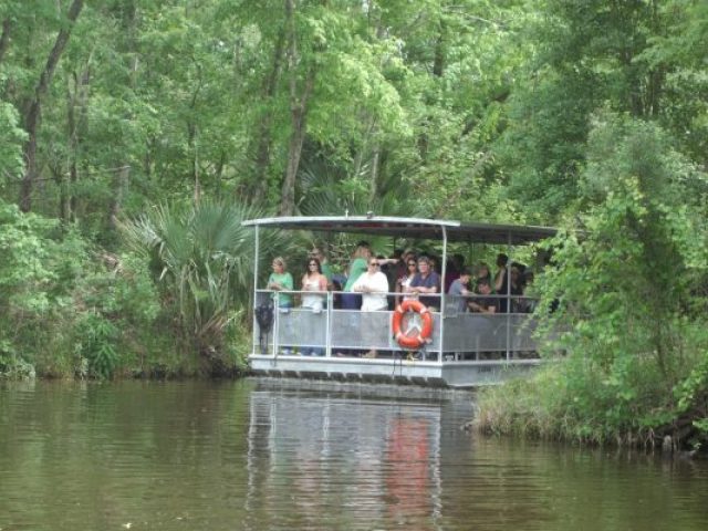 Jean Lafitte Swamp Tour