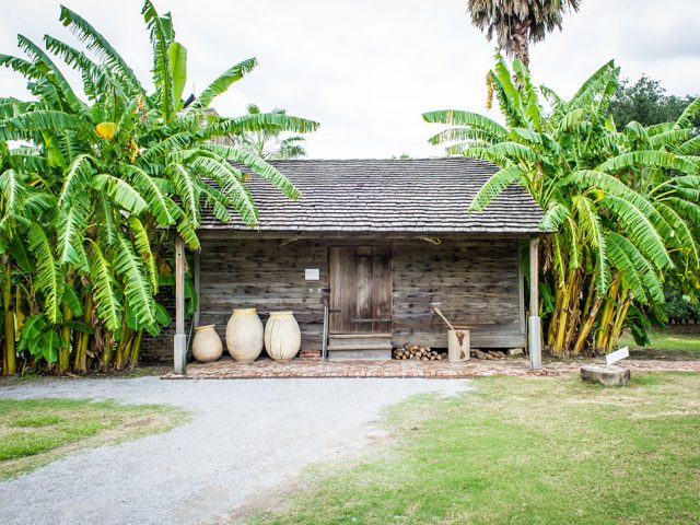 Plantation Tour: Whitney