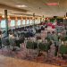 Paddlewheeler Creole Queen Creole Room