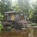 Jean Lafitte Swamp Tour
