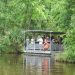 Jean Lafitte Swamp Tour