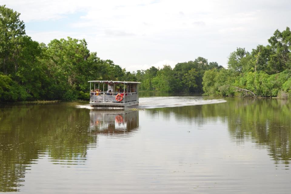 new orleans traditional swamp tour