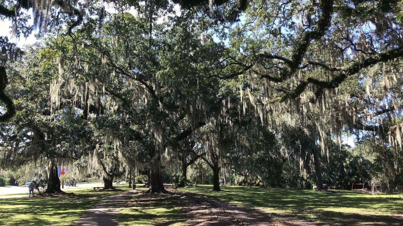 city park new orleans