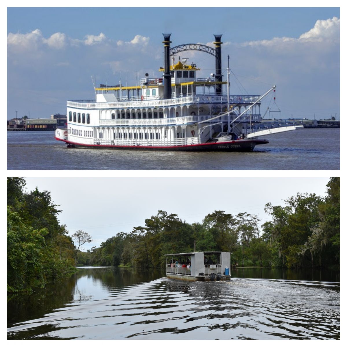 creole queen and swamp tour